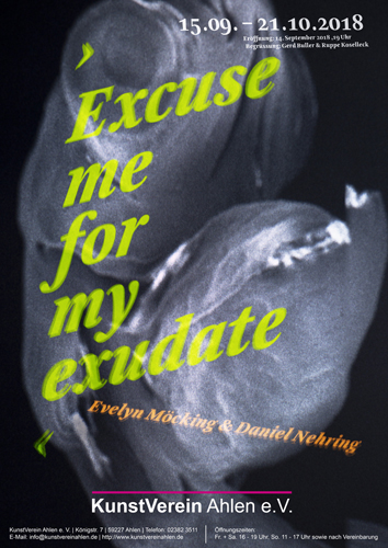 Daniel Nehring Flyer Excuse me for my exudate